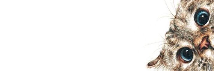 Mtea994's profile banner image