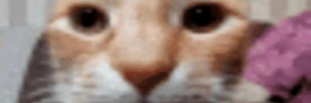 Olsooooo's profile banner image
