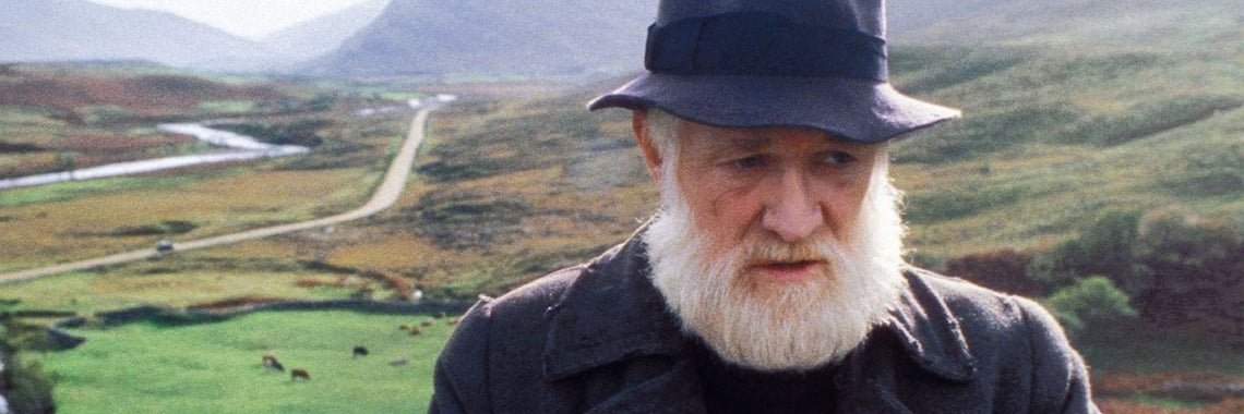 Bull (bear) Mccabe banner