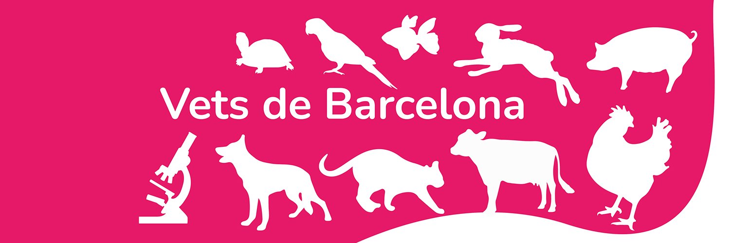 COVBcn's profile banner image