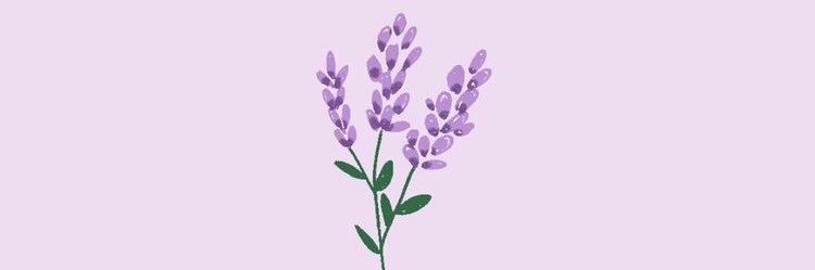 putu_tamara's profile banner image