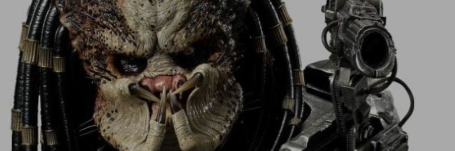 acazvalavi's profile banner image