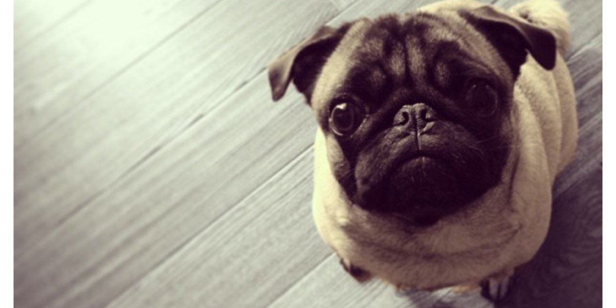 graceangggg's profile banner image