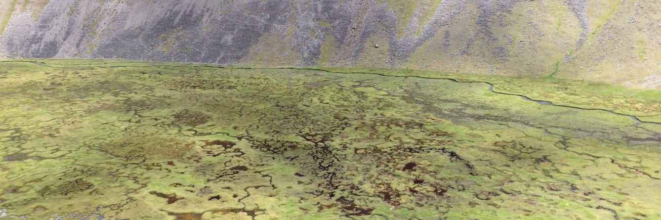 Siobhan Fennessy banner