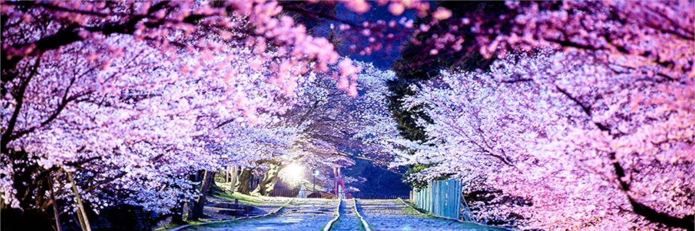 ←/GoRupon banner