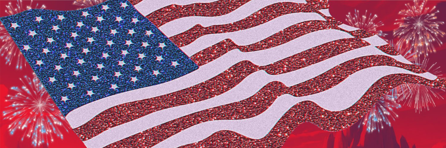 Chris 🇺🇸's banner