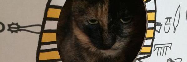 麻生海@nonta banner