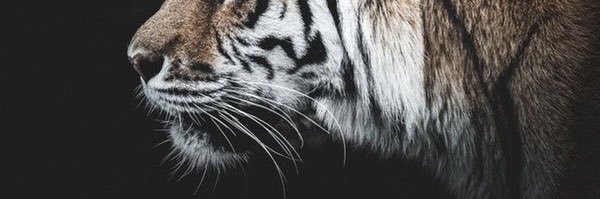 el_guide007's profile banner image