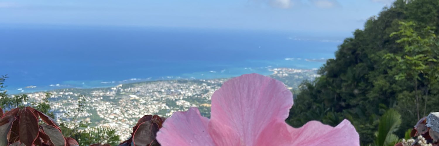 ilauranicole's profile banner image