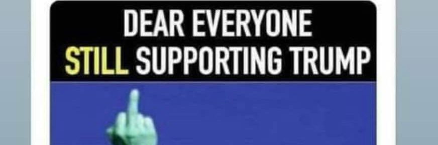 Pissed Off Grandma 💙🇺🇸💙 banner