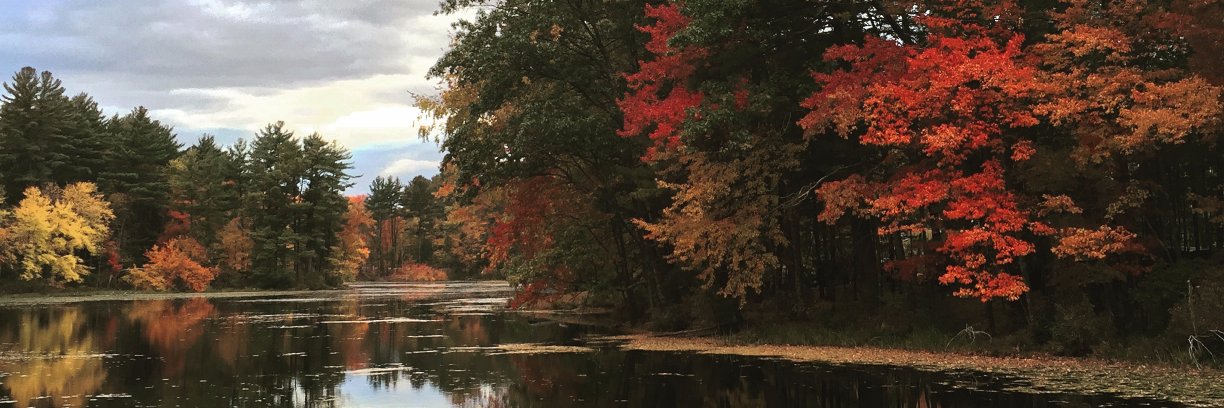 rford's profile banner image
