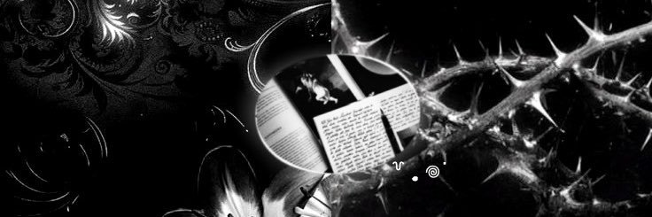 murtunn's profile banner image