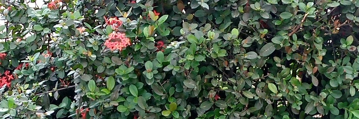 OfumeHarry's profile banner image