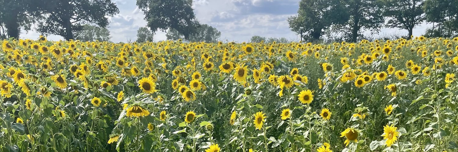 Emma Dudzinski banner