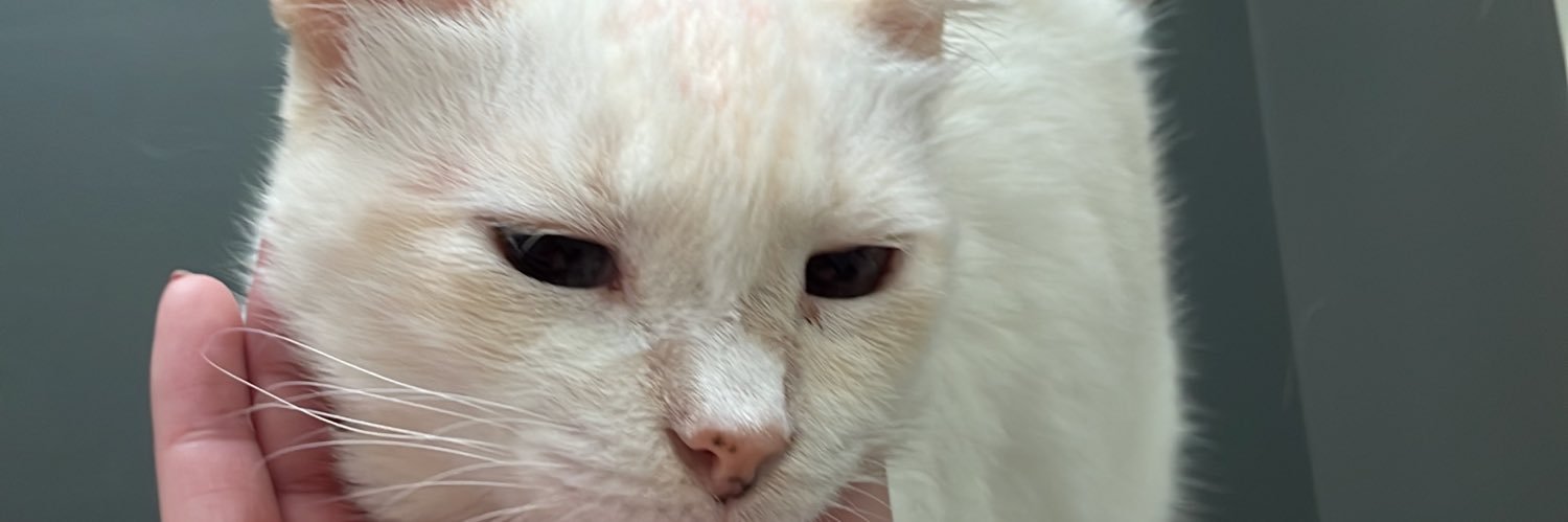_samgzz_'s profile banner image