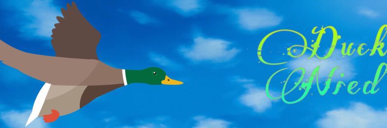 j_nied_'s profile banner image