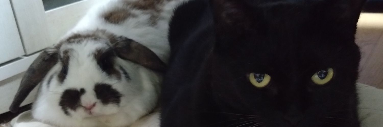 Reiny_83's profile banner image