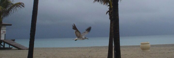 Bill Ellingsworth banner