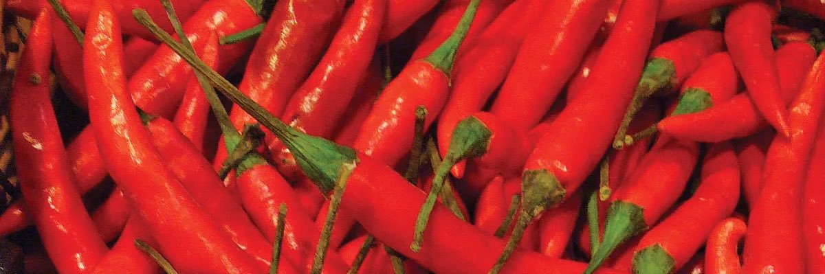 Malta13.ltc/chz 🌶️ 🇫🇷 banner