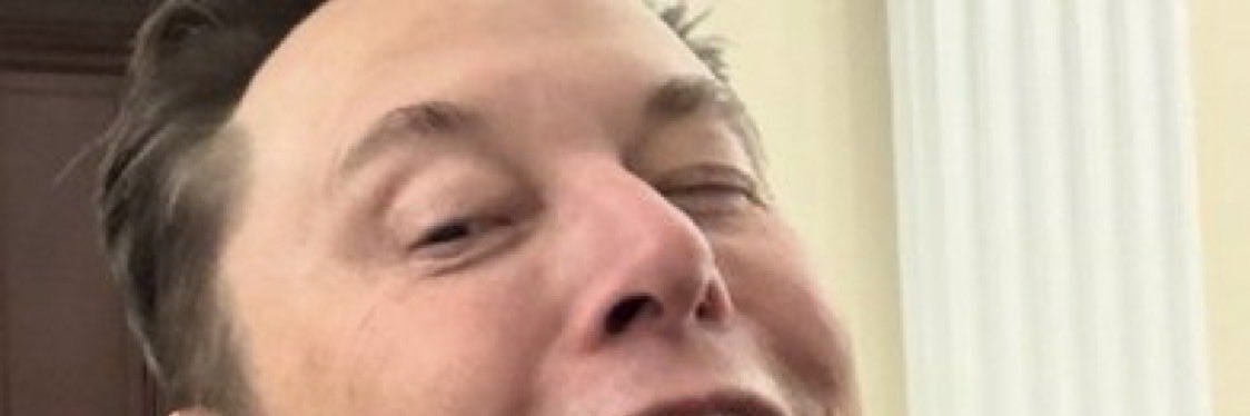 DogeFathernn8l's profile banner image