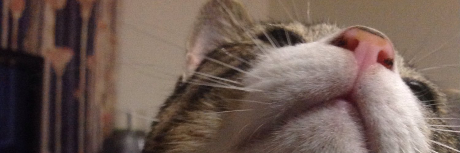 PugwashP's profile banner image