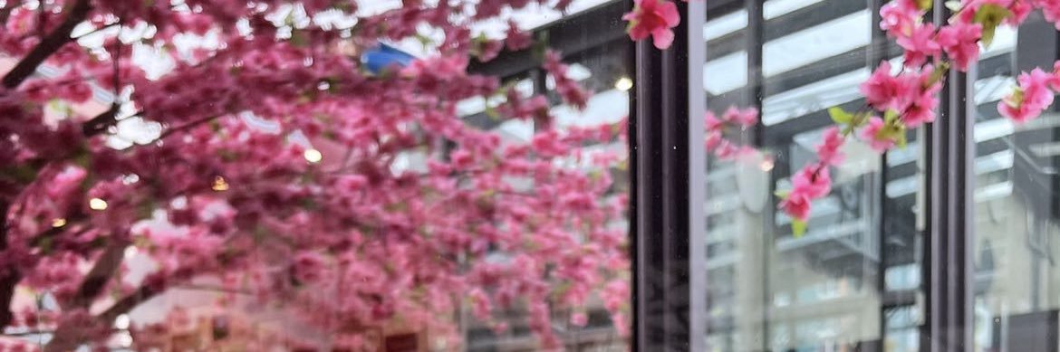 natthahomework's profile banner image
