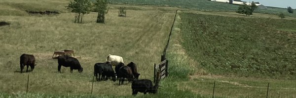 niqueums Profile Banner