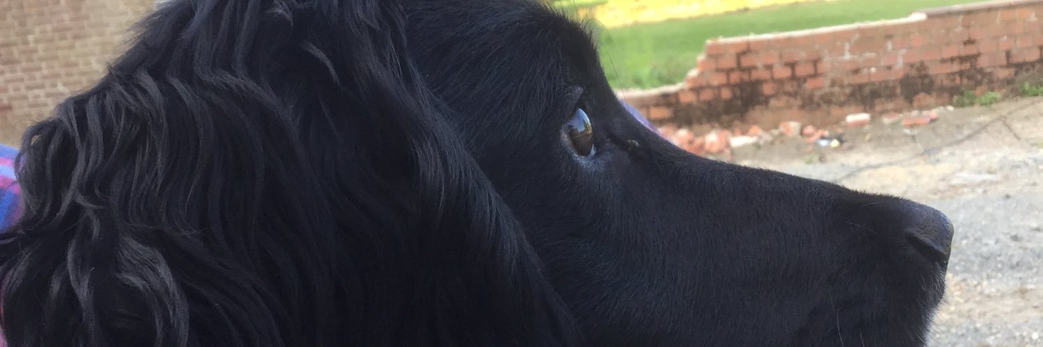 Graharmie's profile banner image