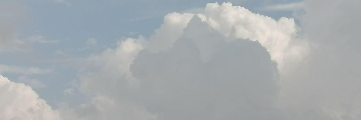 صالح الجعفري banner