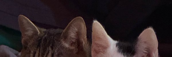 oscar1ivan Profile Banner