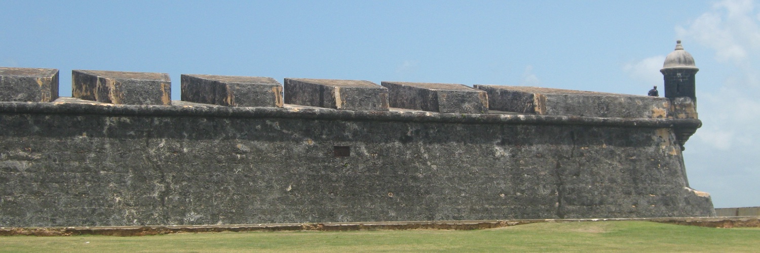 Dr. Manuel A. Pérez Quiñones 🇵🇷✊🏽 banner