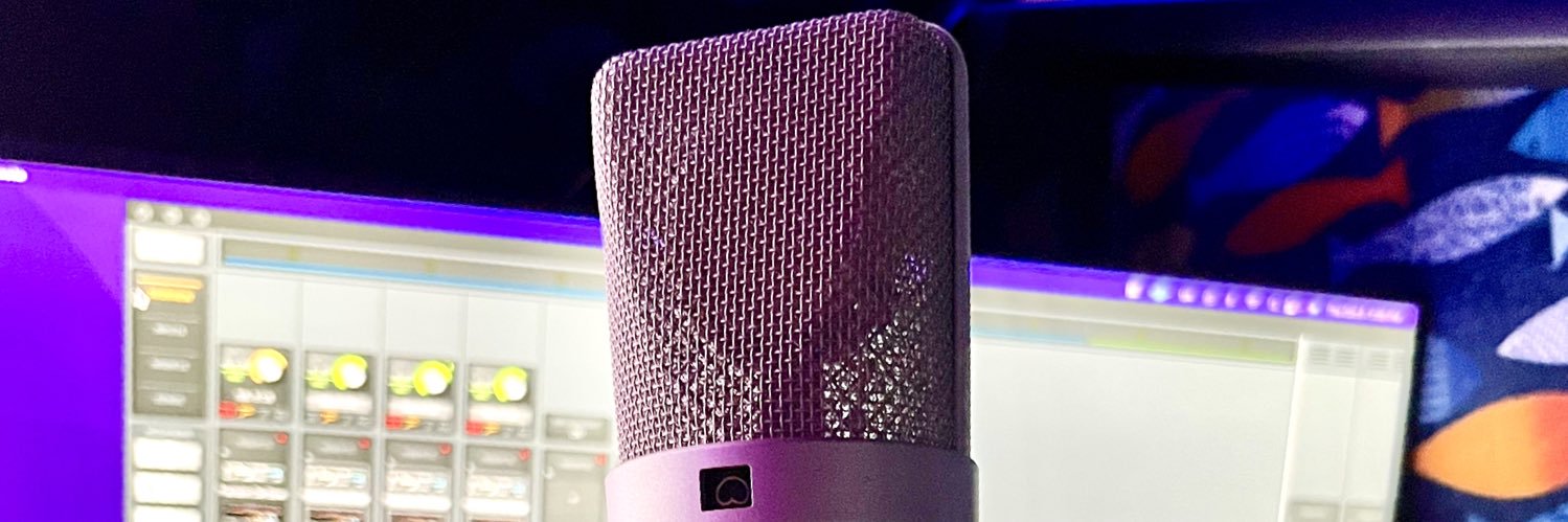 The Microphone Assassin banner