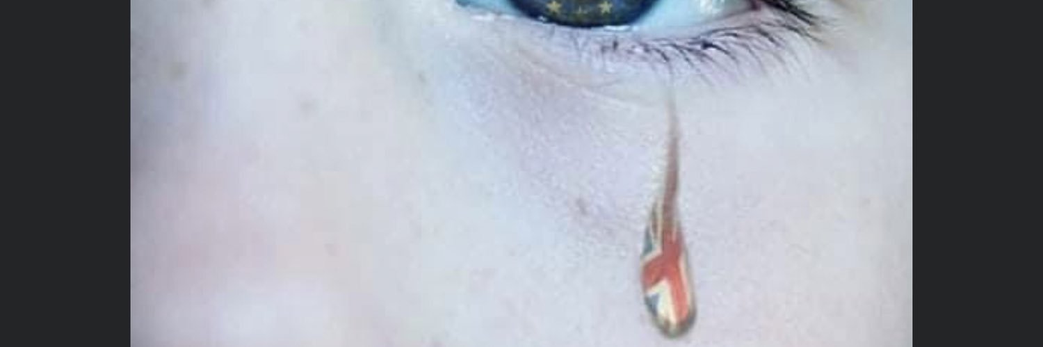 hes153ter's profile banner image