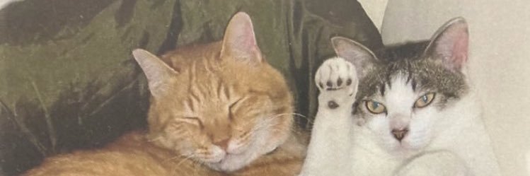 Y_Ndrum's profile banner image