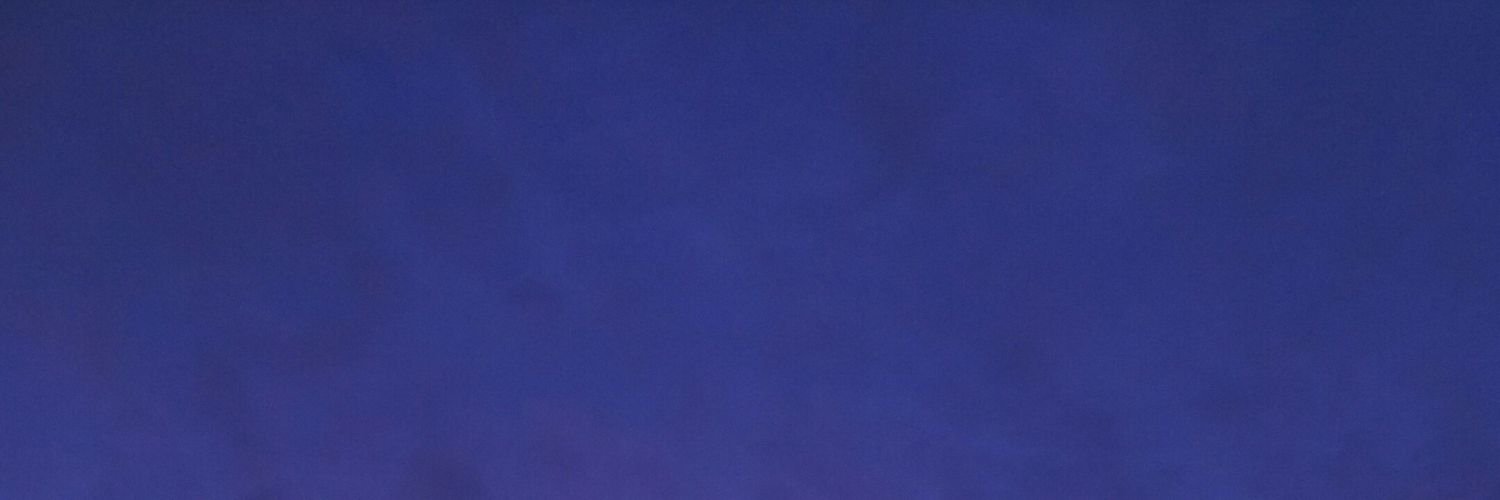 soaproot_B2_wt's profile banner image