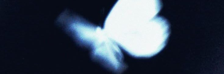 hwlika's profile banner image