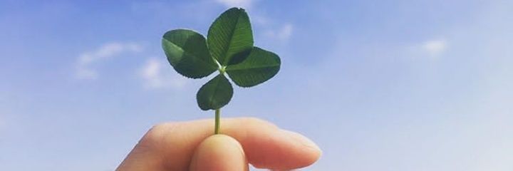 KunguBae's profile banner image