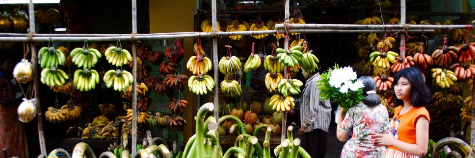 Luke Guinness banner