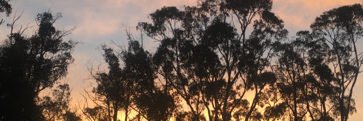 Lucy Nicholas banner