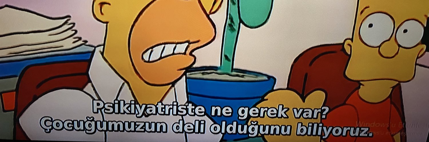 Sebnem banner