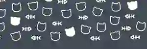 isnatirta's profile banner image
