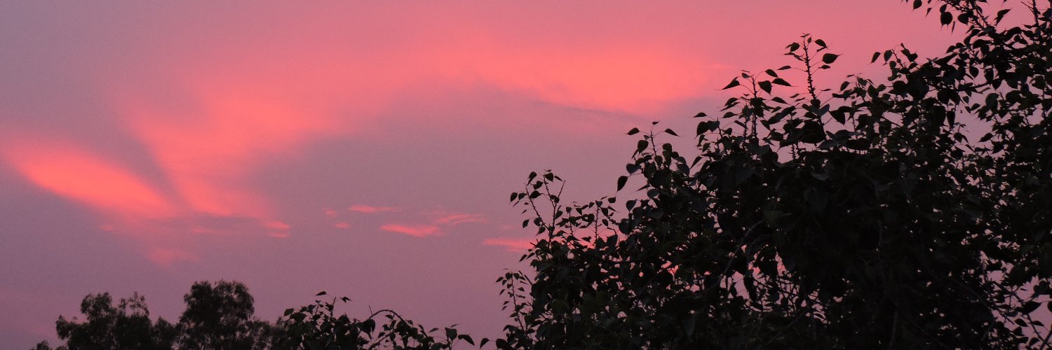 thebakingpanda_'s profile banner image
