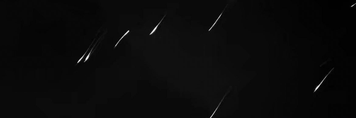 musemiumiu's profile banner image