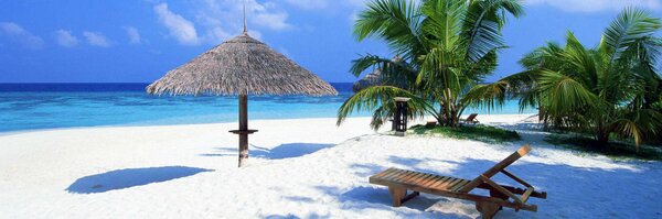 carlostosca Profile Banner