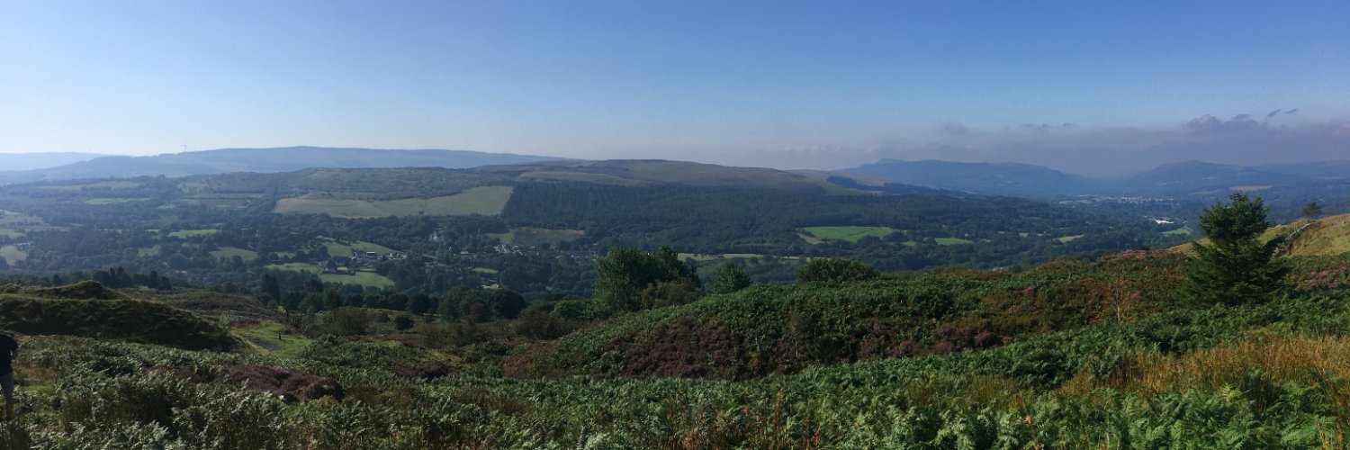 Miranda Burdett Joyce banner