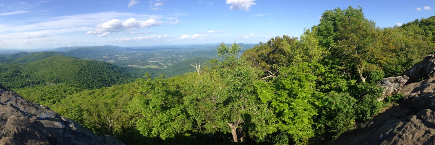 Natalia Palacios banner