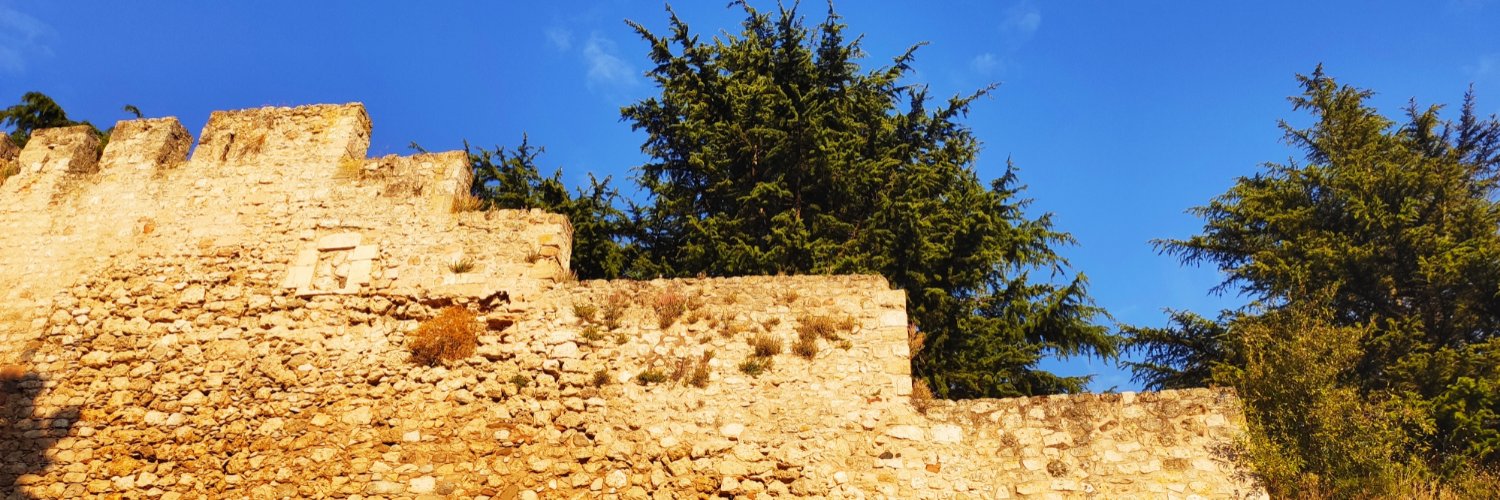 LauraRuedas's profile banner image