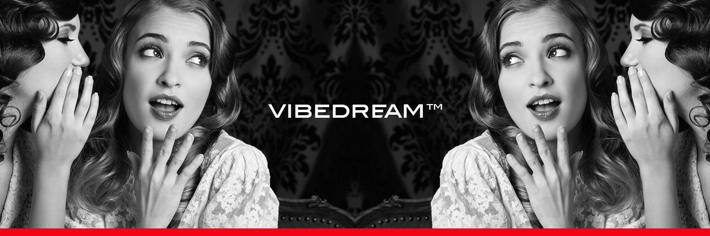 vibedream's profile banner image