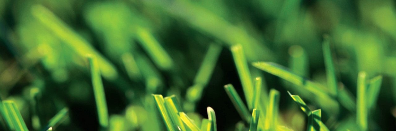 Talbot Turf Supplies banner