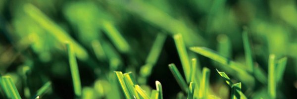 TalbotTurf Profile Banner